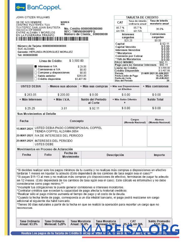 Blank Mexico BanCoppel account bank statement word real example